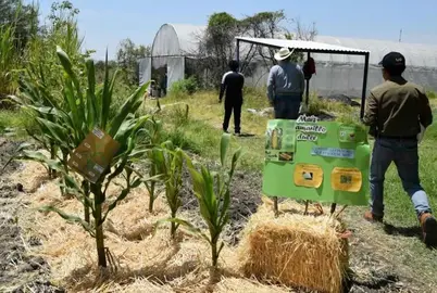 Agronom&iacute;a