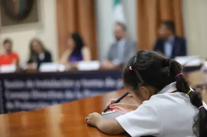 Rinde protesta el Consejo de la Procuradur&iacute;a Auxiliar de Protecci&oacute;n a Ni&ntilde;as, Ni&ntilde;os y Adolescentes, PAPPNA