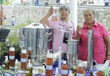 Grupos de Red M&oacute;vil DIF producir&aacute;n aceites de esencias naturales