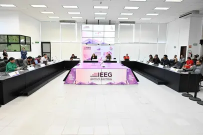 ieeg