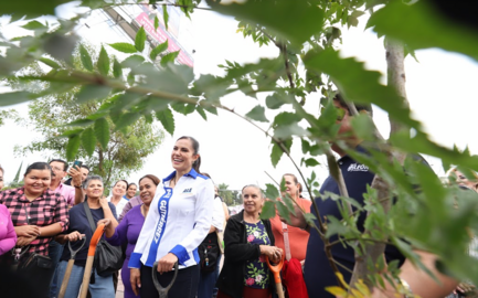 Refuerza Le&oacute;n el arbolado en bulevar Morelos