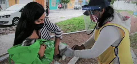Vacunaci&oacute;n 
