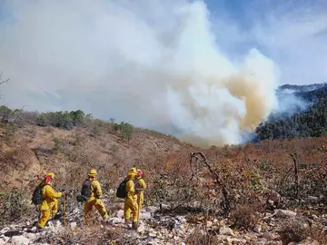 Brigada Forestal de Guanajuato, guardi&aacute;n que combate el fuego y protege la biodiversidad (1)