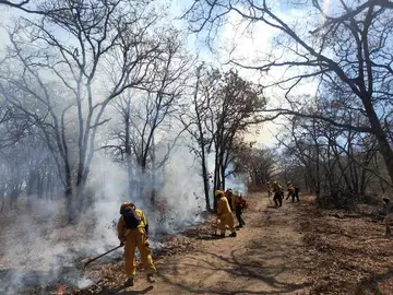 Controlan 50% incendio forestal en sierra de Los Agustinos