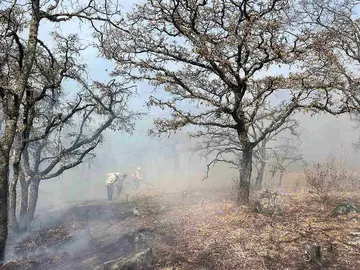 Liquidan incendio en sierra de Los Agustinos