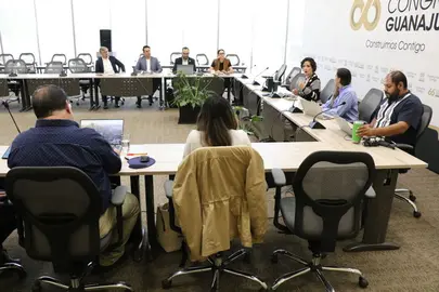 Mea de trabajo de la Comisi&oacute;n de Medio Ambiente 