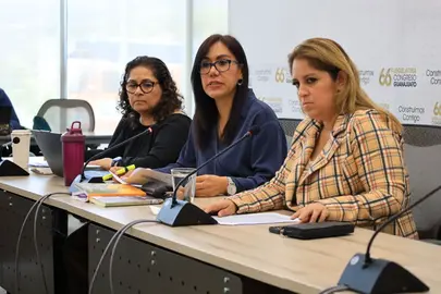Comisi&oacute;n de Justicia del Congreso local realiza mesa de trabajo