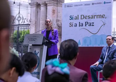 Campa&ntilde;a desarme