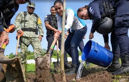 Alcald&iacute;a y Guardia Nacional juntos en la reforestaci&oacute;n
