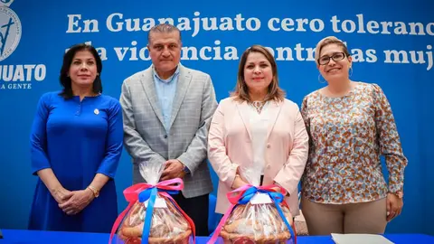 Presenta Guanajuato avances en cumplimiento de alerta contra violencia de g&eacute;nero