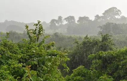 lluvias