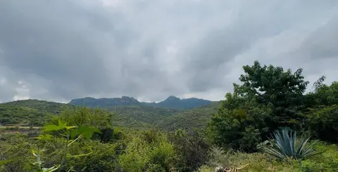 Lluvias