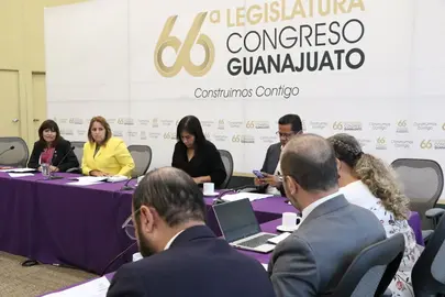 Comisi&oacute;n de Justicia del Congreso de Guanajuato