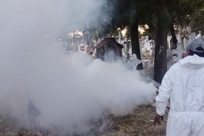 Nebulizan los panteones de Guanajuato para disminuir riesgo de dengue
