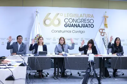 Aprueban-en-comisiones-legislativas-la-definici&oacute;n-de-'personas-c&oacute;nyuges