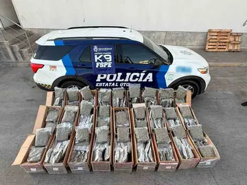 Frustra-oficial-canino-de-Seguridad-y-Paz-env&iacute;o-de-162-kilos-de-marihuana-01