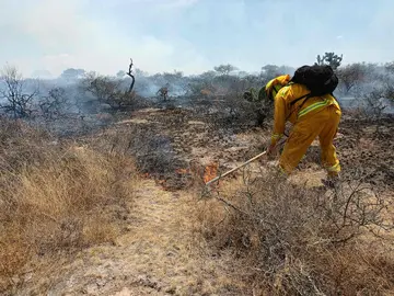 Protecci&oacute;n Civil de Guanajuato emite recomendaciones para la prevenci&oacute;n de incendios