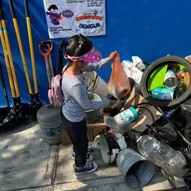 descacharrizaci&oacute;n