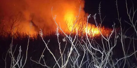 fuego-presa-blanca