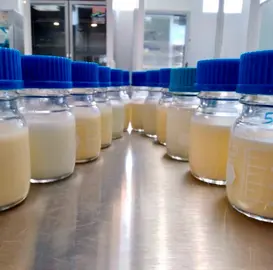 Leche materna