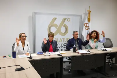 Sesi&oacute;n de la Comisi&oacute;n de Salud en el Congreso del Estado.