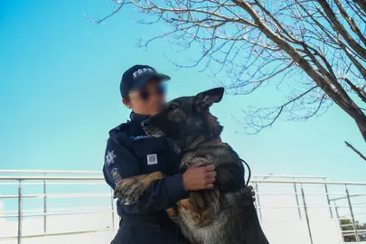 La Unidad K9 cuenta con 21 binomios capacitados para la detecci&oacute;n de narc&oacute;ticos y tareas operativas.