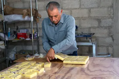 Empresas guanajuatenses de diversos sectores, como el agroindustrial y artesanal, han logrado integrar sus productos en mercados internacionales.