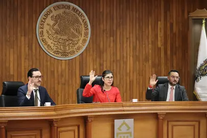 El TEEG determin&oacute; que las cr&iacute;ticas hacia el desempe&ntilde;o de servidores p&uacute;blicos en redes sociales est&aacute;n protegidas por la libertad de expresi&oacute;n.