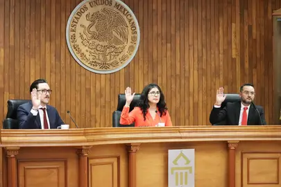 Sesi&oacute;n p&uacute;blica del Pleno del Tribunal Estatal Electoral de Guanajuato, donde se resolvi&oacute; por unanimidad la amonestaci&oacute;n p&uacute;blica contra un ciudadano por violar la veda electoral.