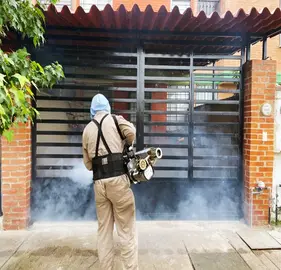 Personal de las jurisdicciones sanitarias refuerza las brigadas de control vectorial en los municipios para mantener la tendencia a la baja en los casos de dengue.