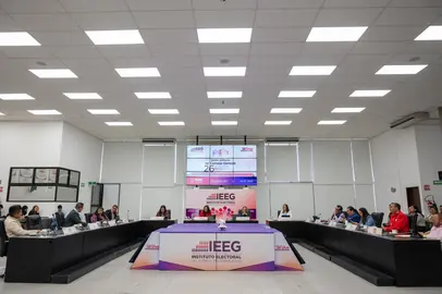 La Comisi&oacute;n de Quejas y Denuncias present&oacute; el estatus de las solicitudes de medidas cautelares formuladas ante el instituto.
