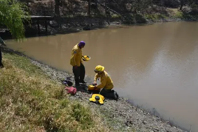 Como parte de la estrategia de vigilancia en los 46 municipios, se verifica el estado de los cuerpos de agua con mayor afluencia de visitantes para prevenir accidentes.
