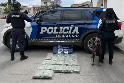 El cargamento, que suma m&aacute;s de 13,000 dosis, fue detectado por la Unidad Canina K9 en puntos estrat&eacute;gicos de Irapuato y Le&oacute;n.