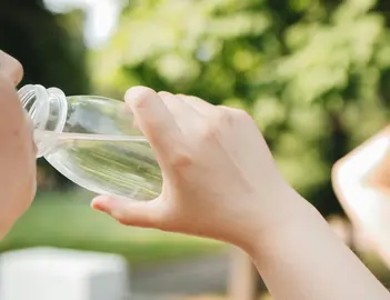 La ingesta regular de agua es fundamental durante la temporada de calor para regular la temperatura corporal y mantener el bienestar f&iacute;sico.