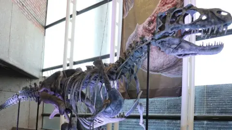 Ni&ntilde;as y ni&ntilde;os podr&aacute;n interactuar con figuras y tem&aacute;ticas de dinosaurios durante el festejo del D&iacute;a de la Ni&ntilde;ez.