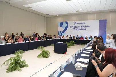 Representantes estatales y especialistas participaron en la Primera Sesi&oacute;n Ordinaria 2026 del SIPINNA Guanajuato.