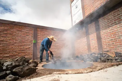 El reconocimiento otorgado por el IMPI busca certificar la autenticidad del destilado y detonar la econom&iacute;a de micro y peque&ntilde;as empresas artesanales en el noreste y centro de la entidad.