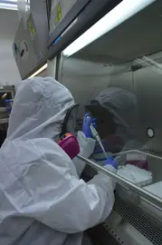 Guanajuato garantiza preparaci&oacute;n sanitaria rumbo al Mundial de Futbol