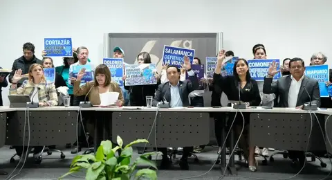 Aprueban en comisi&oacute;n irrevocabilidad de adopciones