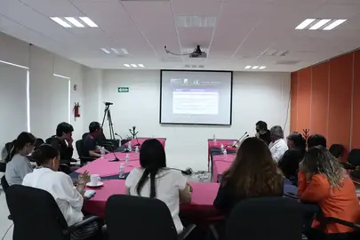 Guanajuato impulsa la accesibilidad al voto para personas con discapacidad visual