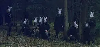 tumblr_static_indie-photography-rabbits-favim.com-436356
