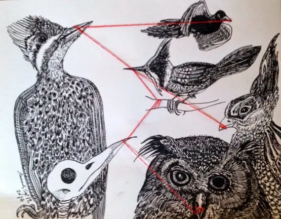 P&aacute;jaros_alien&iacute;genas