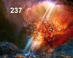 t237 banner