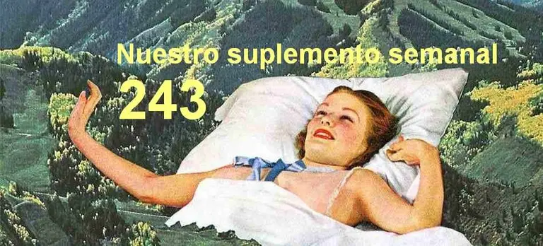 t243 banner lateral