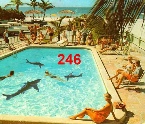 t246 [resent] Collage de Sammy Slabbinck