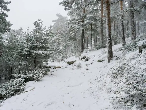 invierno