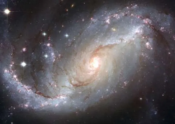 cosmos