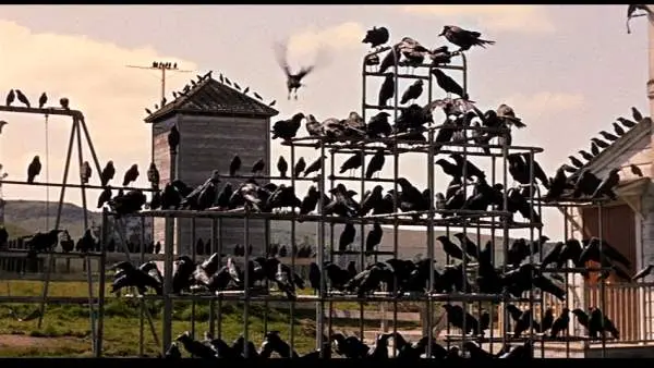 The Birds 1963 