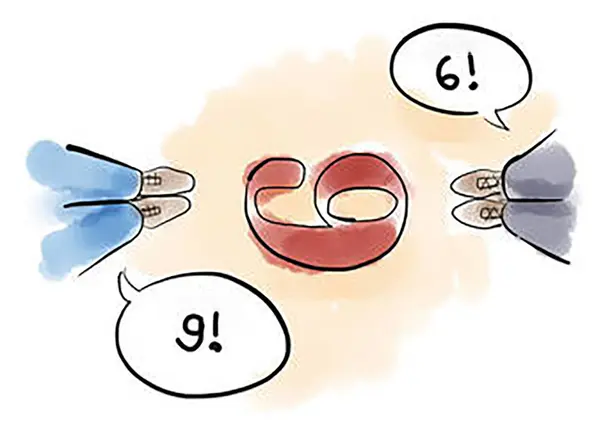 La estupidez [seis o nueve]
