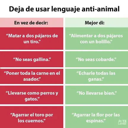 La estupidez humana presenta... 24